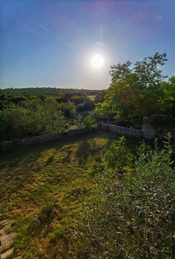 Villa Dvori Dida Mile Свети-Петар Экстерьер фото